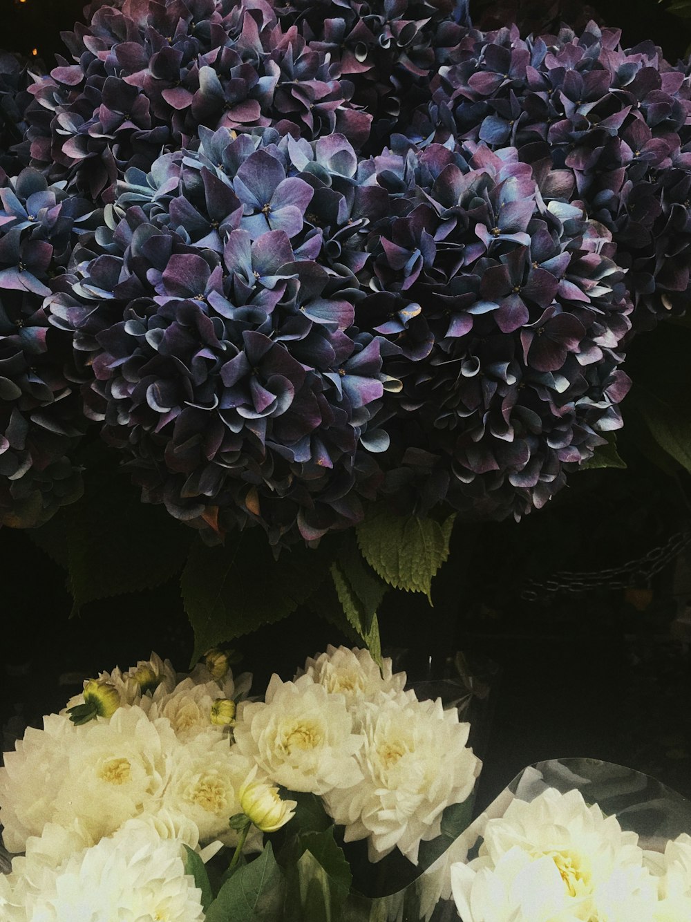 purple and white bouquets