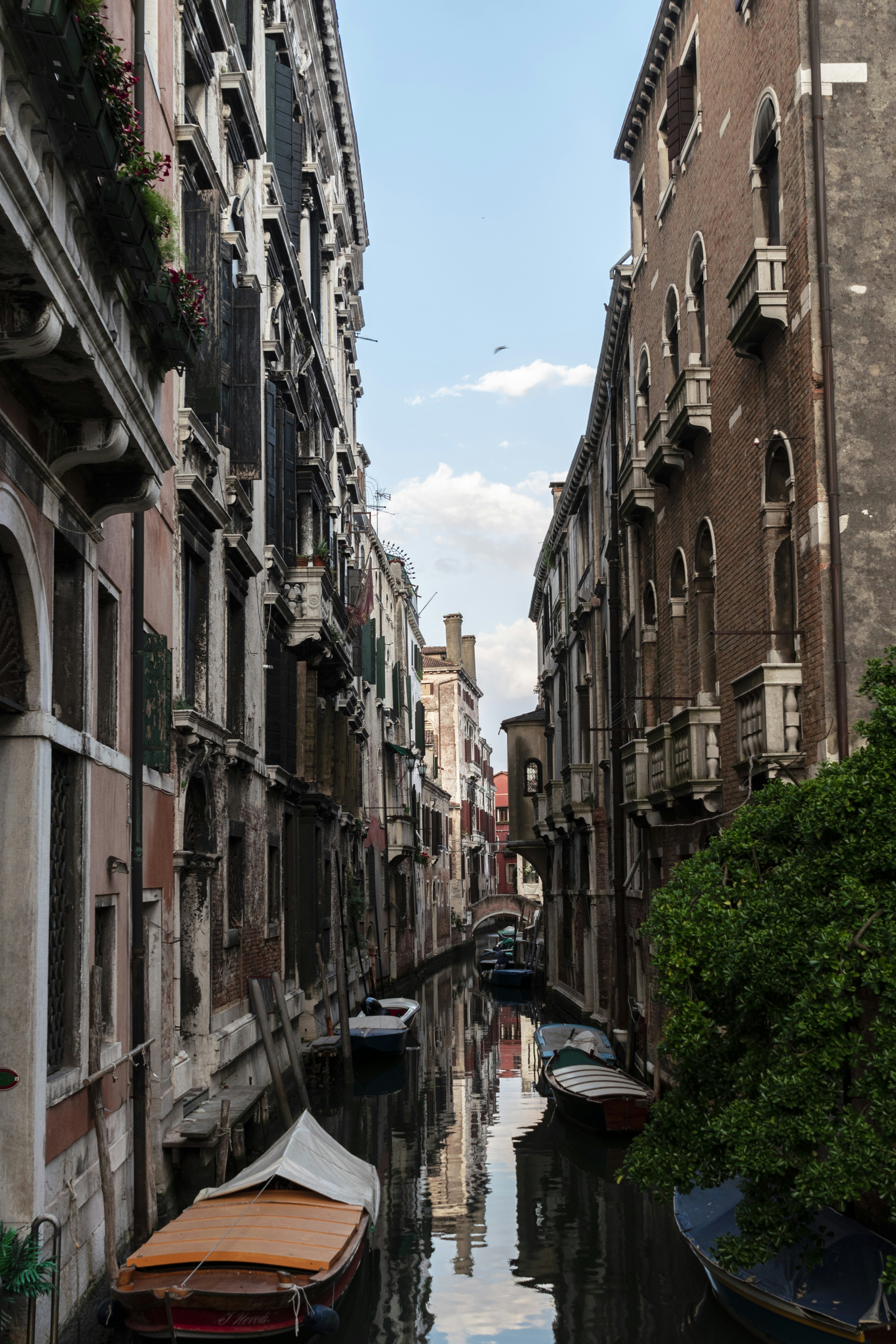 Photo by frenjaminbenklin