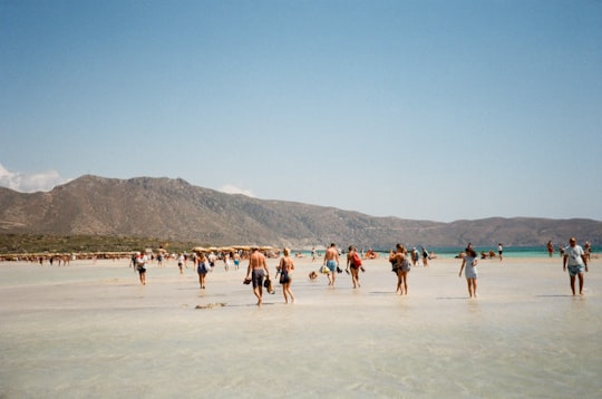 people on seashore during daytime in Elafonisi Greece