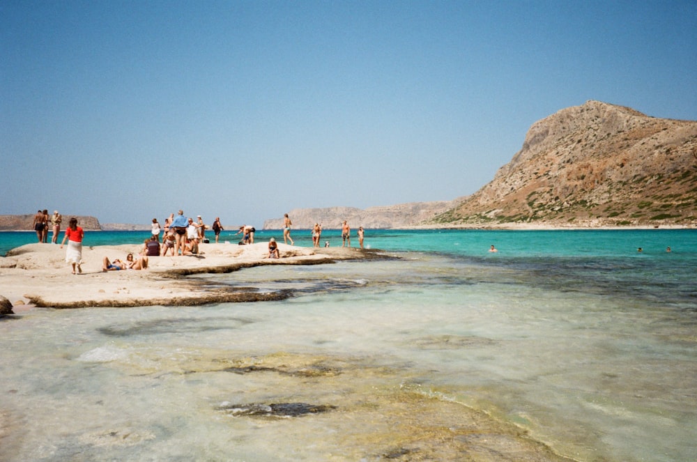 people standing on seashore during daytime