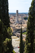 brown concrete buildings during daytime