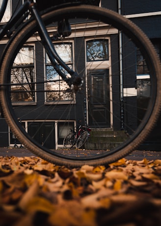 road bike on withered leaves