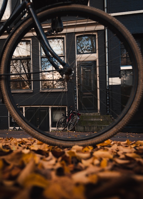 road bike on withered leaves