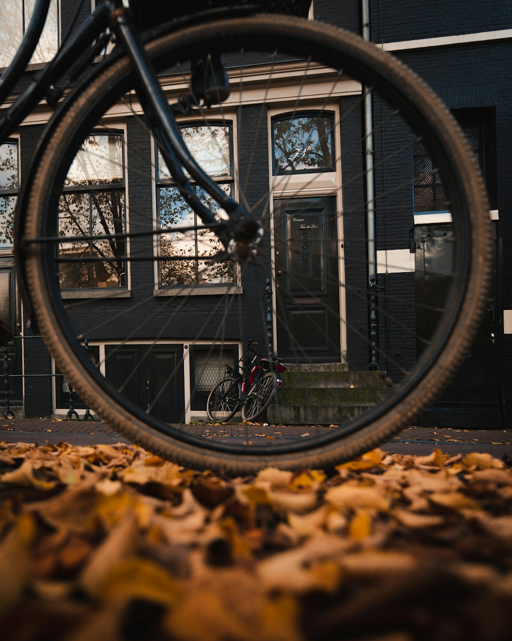 vélo de route sur des feuilles fanées