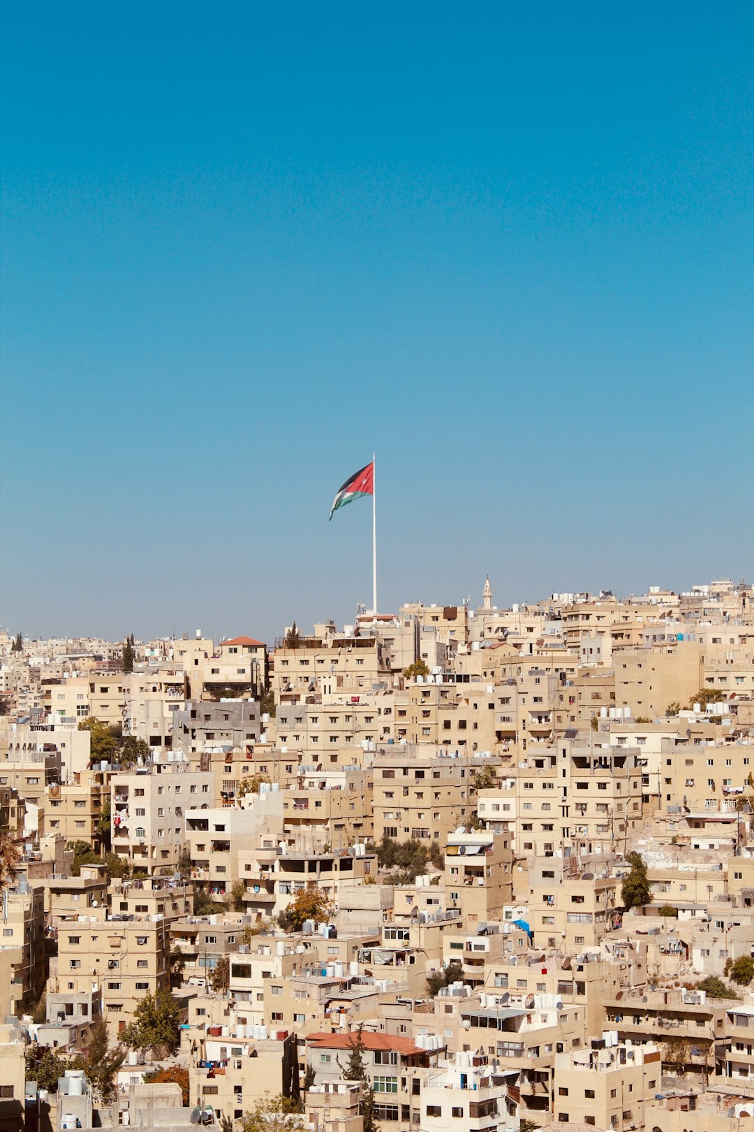 brown houses with red and blue flag waving on pole