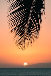 calm ocean at sunset