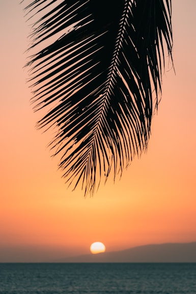 calm ocean at sunset