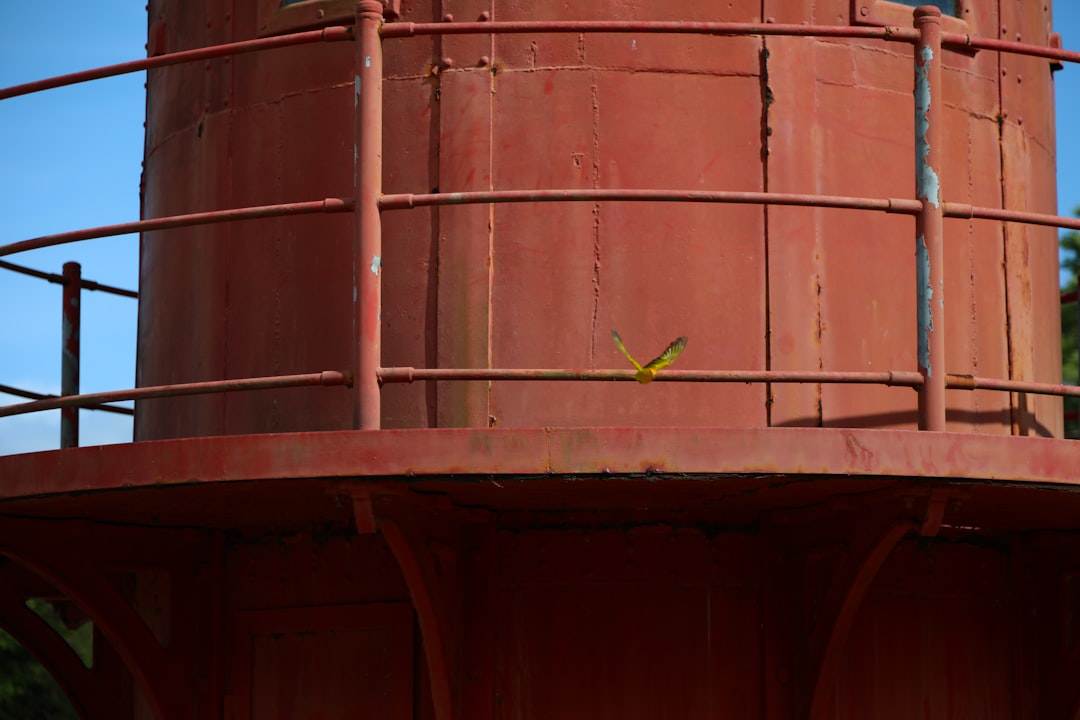 macro photography of orange metal tank