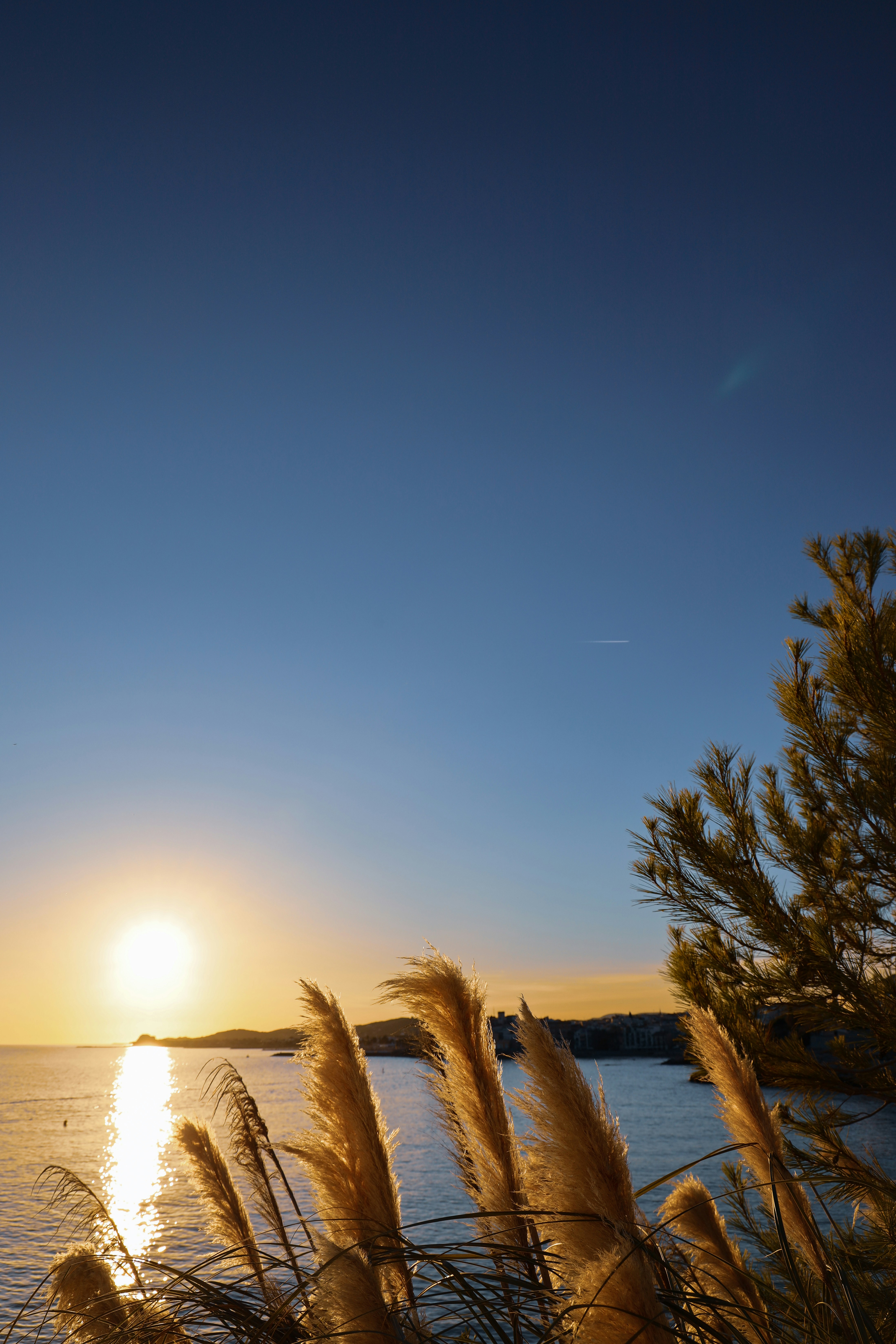 밤의 속삭임: 꿈이 그린 무의식의 지도, 당신의 진실을 찾아서