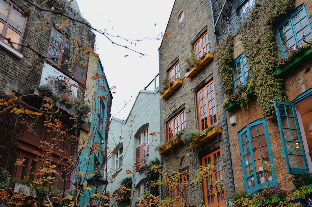 Cool Soho