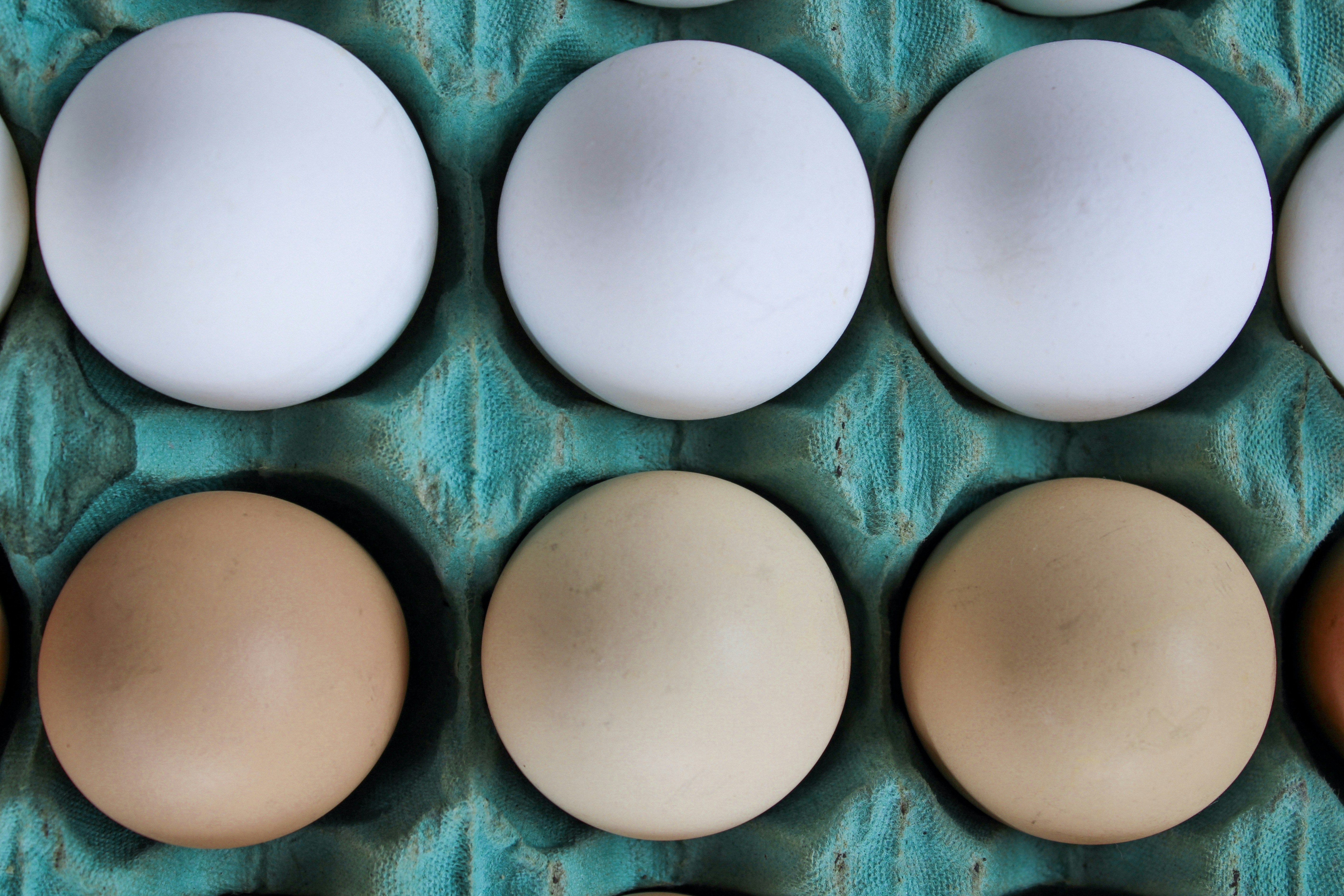 Understanding Eggflation: The Rising Cost of Eggs in 2023