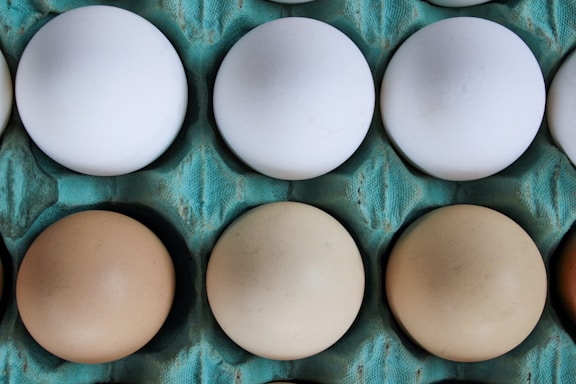 A dozen eggs arranged in a 3x4 pattern sit in a blue egg carton. The eggs vary in color from white to tan, each occupying a separate compartment in the textured carton.