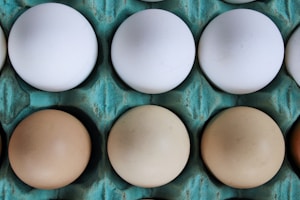 Farm Fresh Eggs