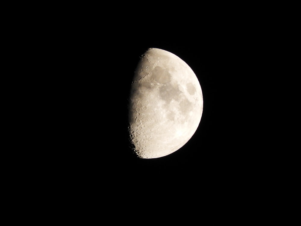 Earth's moon at night