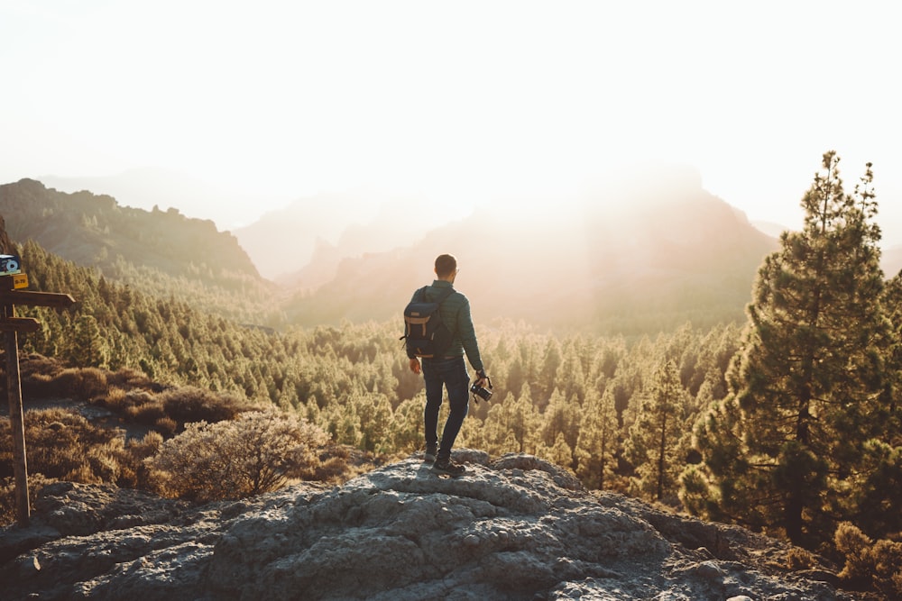 man on hill near forest