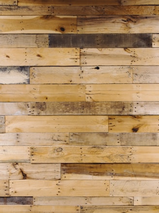 wooden pallet wall