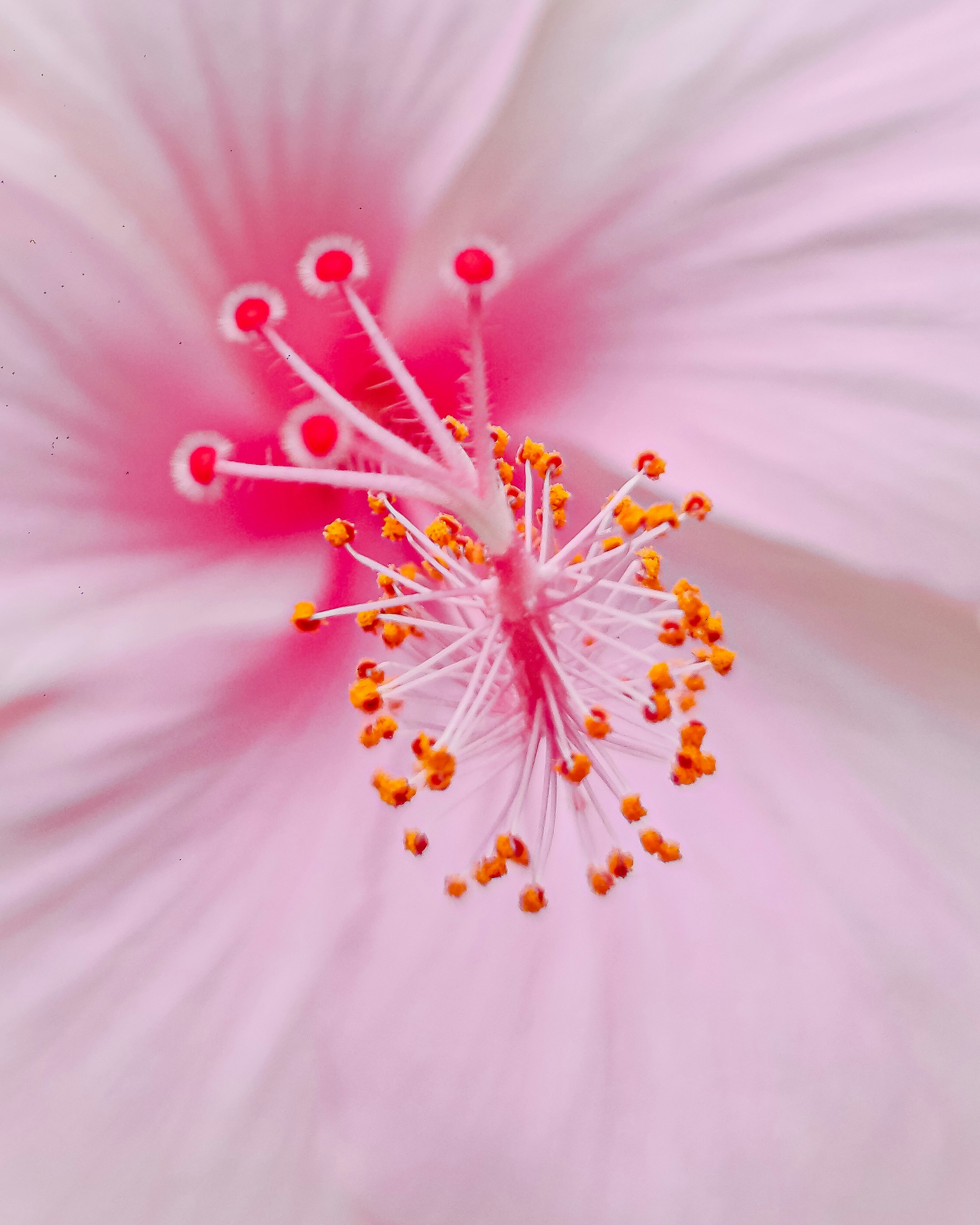 Photo by mohnishlandge