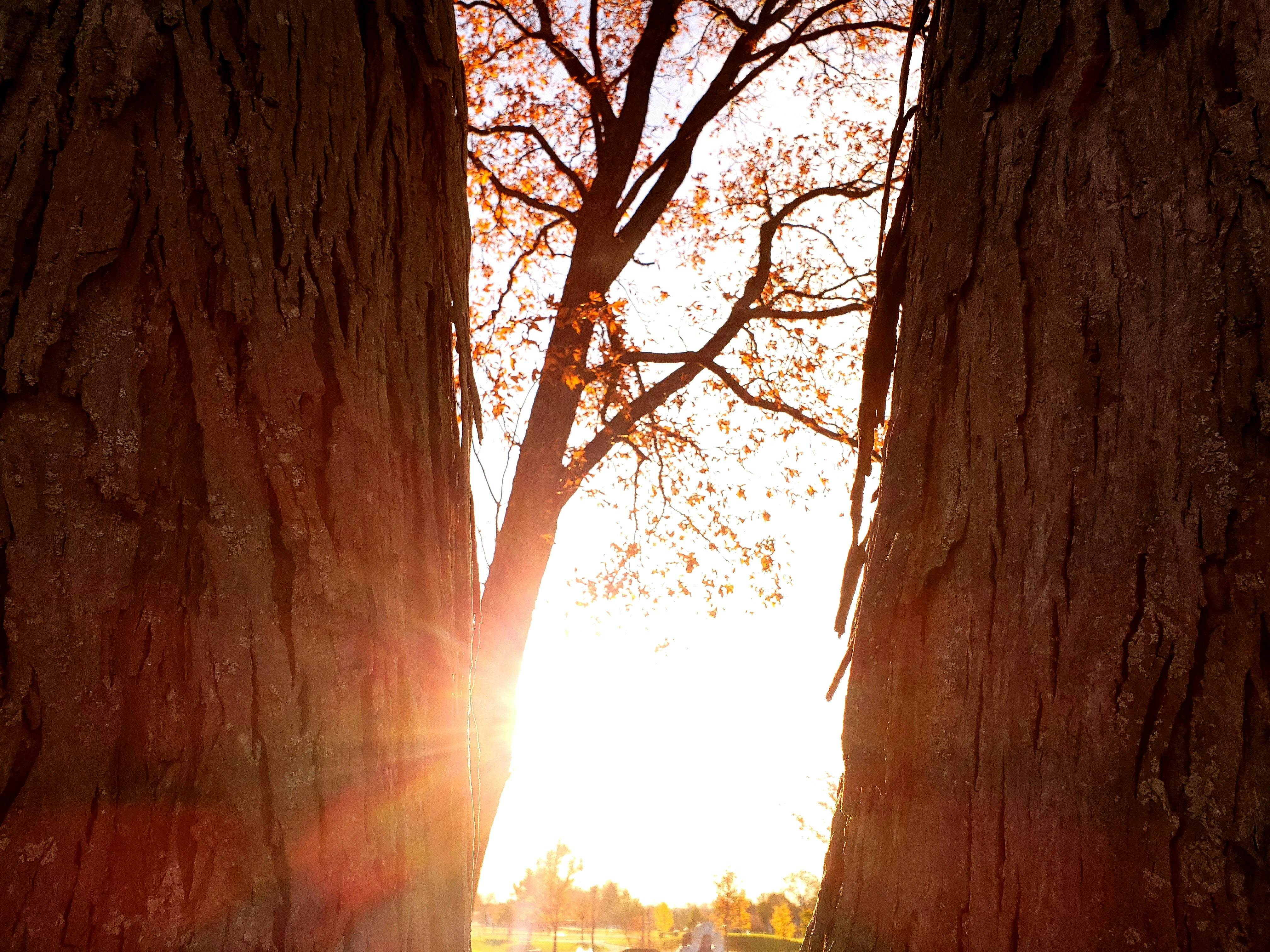 Photo by ghuffmanphotography