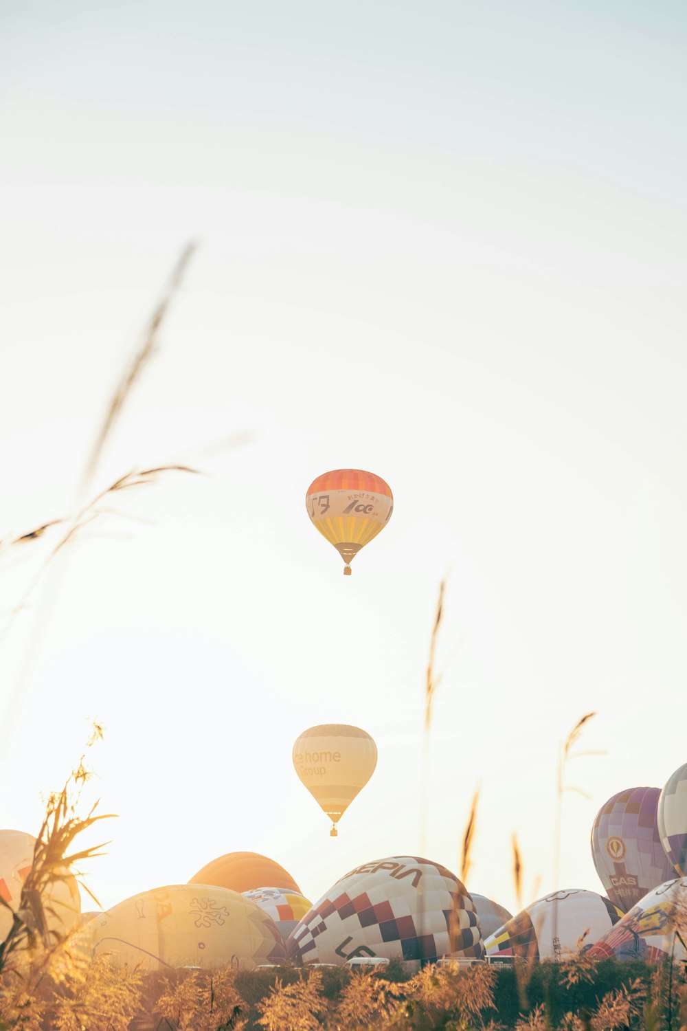 brown hot air balloon under white sky