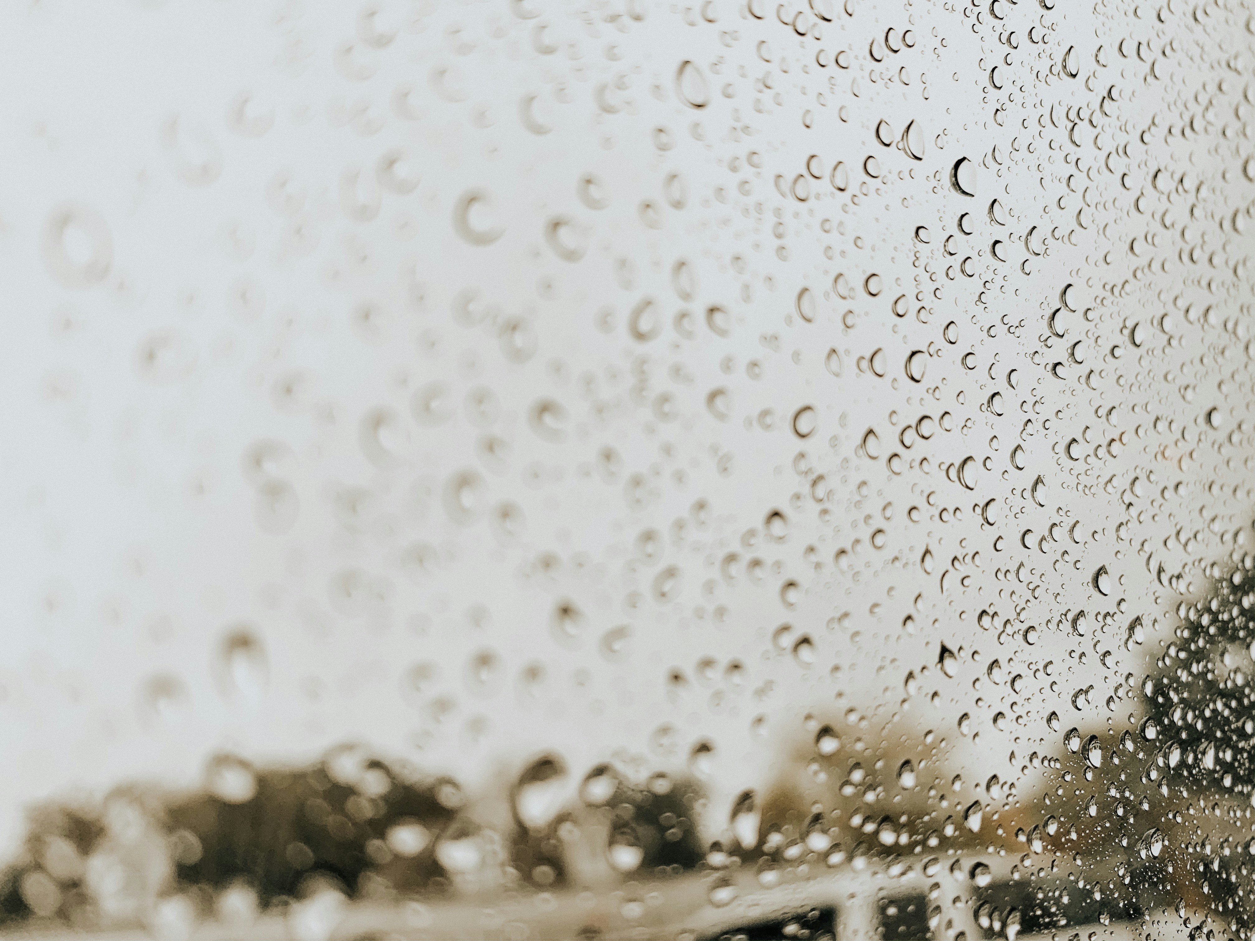 Photo by oliviapike11