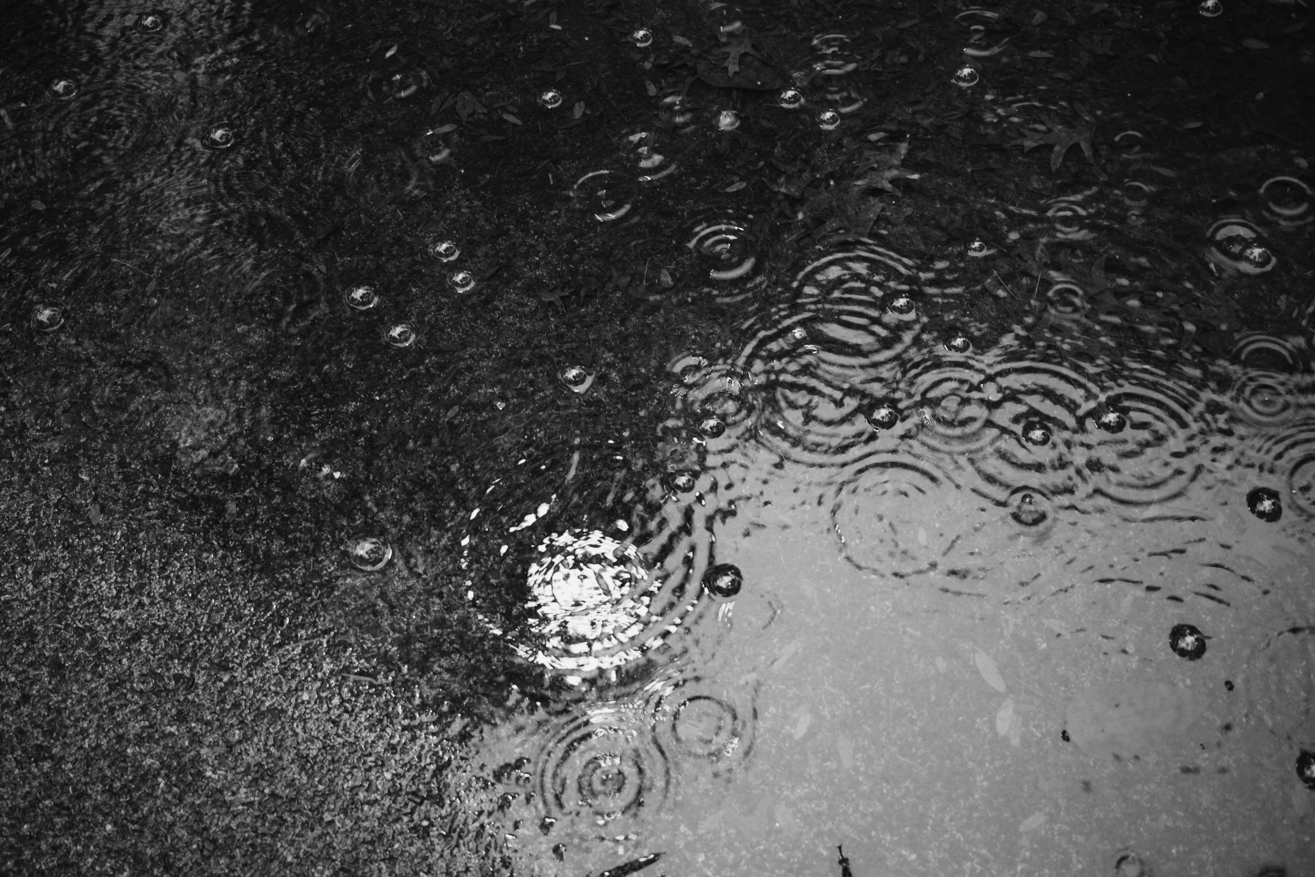 Photo by meghanschiereck