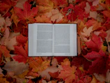 An open book with vibrant cover art, surrounded by autumn leaves on a wooden table.