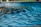 Close-up of clear blue pool water with pool maintenance equipment neatly arranged nearby