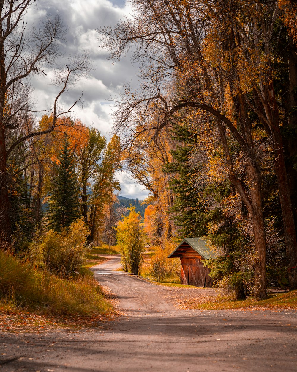 brown barn surrounded by orange-leafed trees