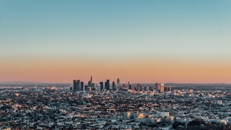 aerial photo of city