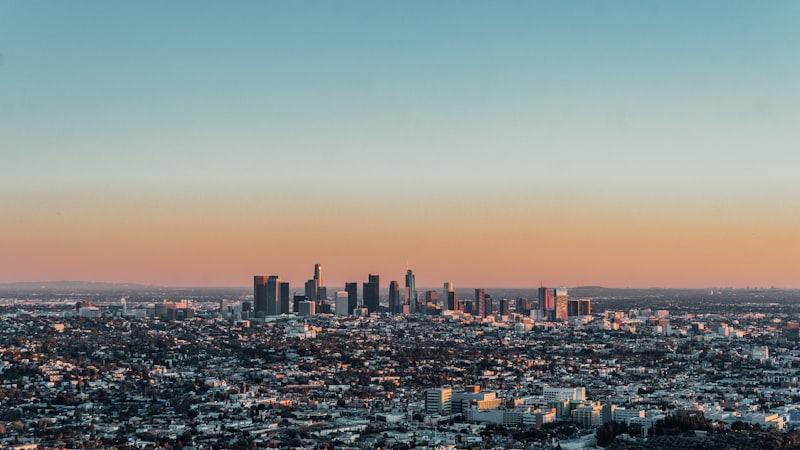 Which Airlines Offer the Best Prices to Downtown L