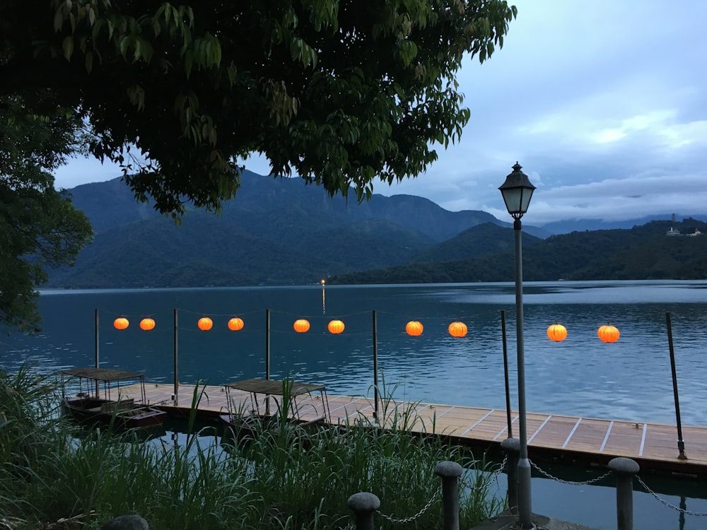 poste de luz cerca del cuerpo de agua