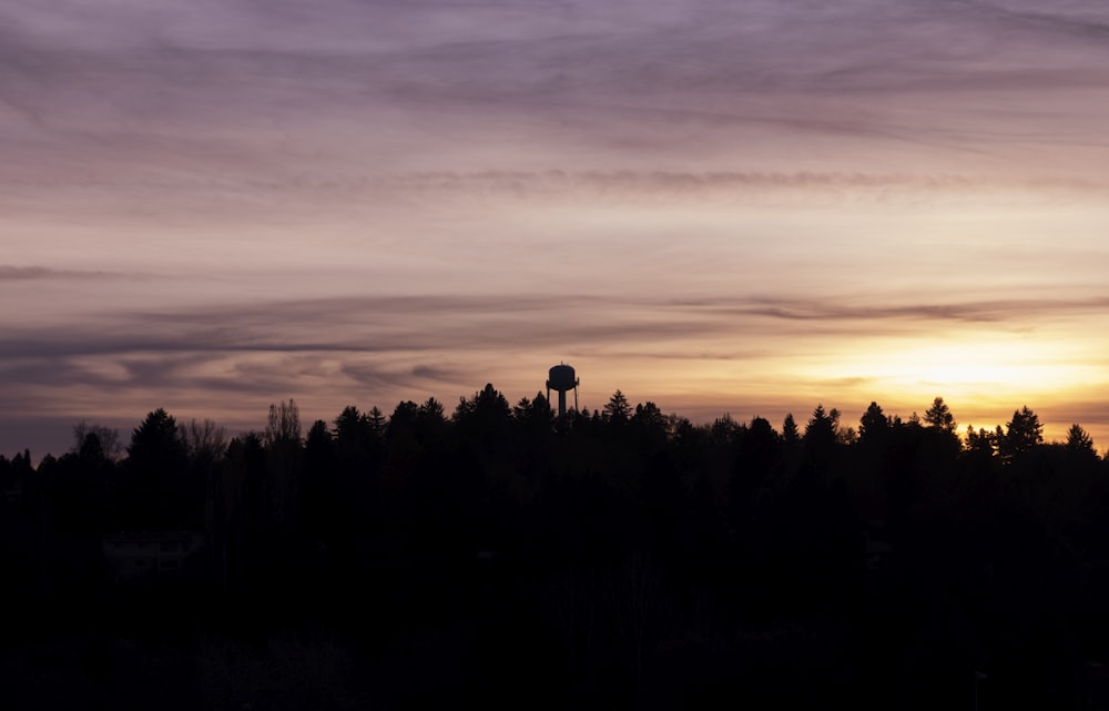 the sun is setting over the trees in the distance