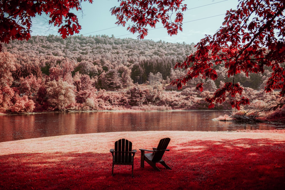 landscape photography of trees beside river, Red river.