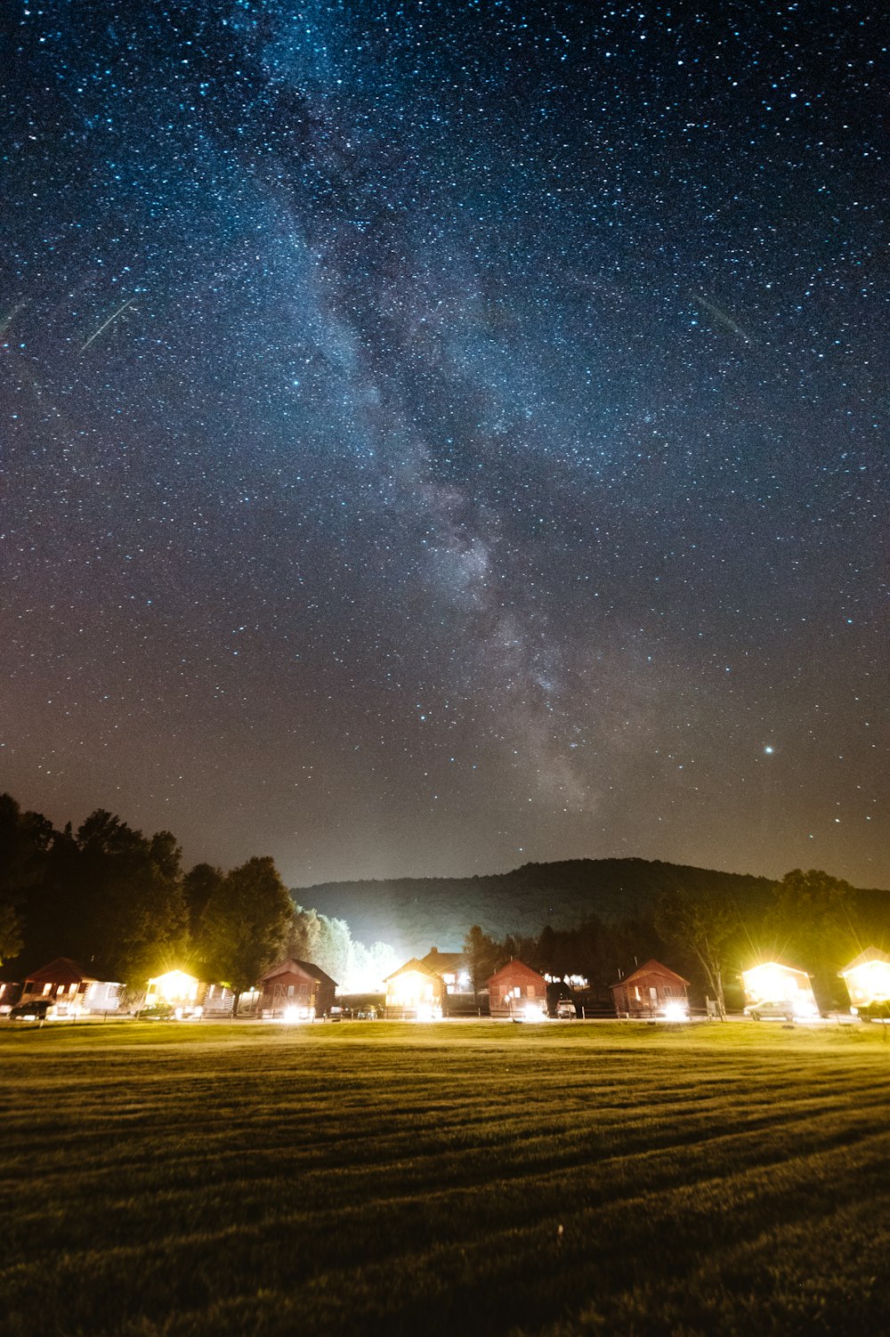 Casas cerca de los árboles por la noche