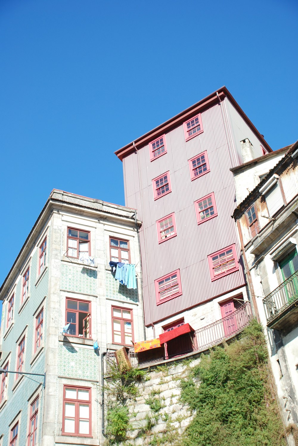 worm view photo of white and purple building