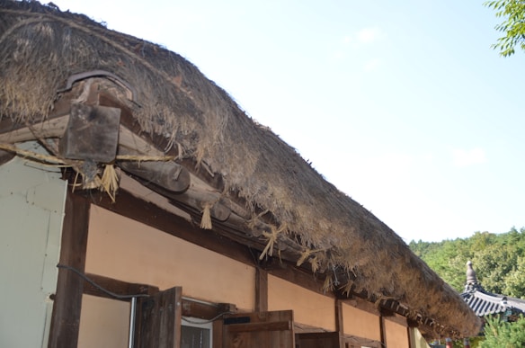 A traditional house with a thatched roof constructed from bundles of straw or reeds is depicted. The walls are made of mud and wood, and there are visible elements of hand-crafted construction. In the background, part of another traditional structure with a tiled roof can be seen against a backdrop of lush greenery and a clear sky.