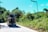 A jeepney is traveling on a rural road surrounded by lush greenery and tall trees. Several people are sitting on top of the vehicle enjoying an open-air ride. A single street lamp is visible on the side of the road, and the sky is clear and blue.