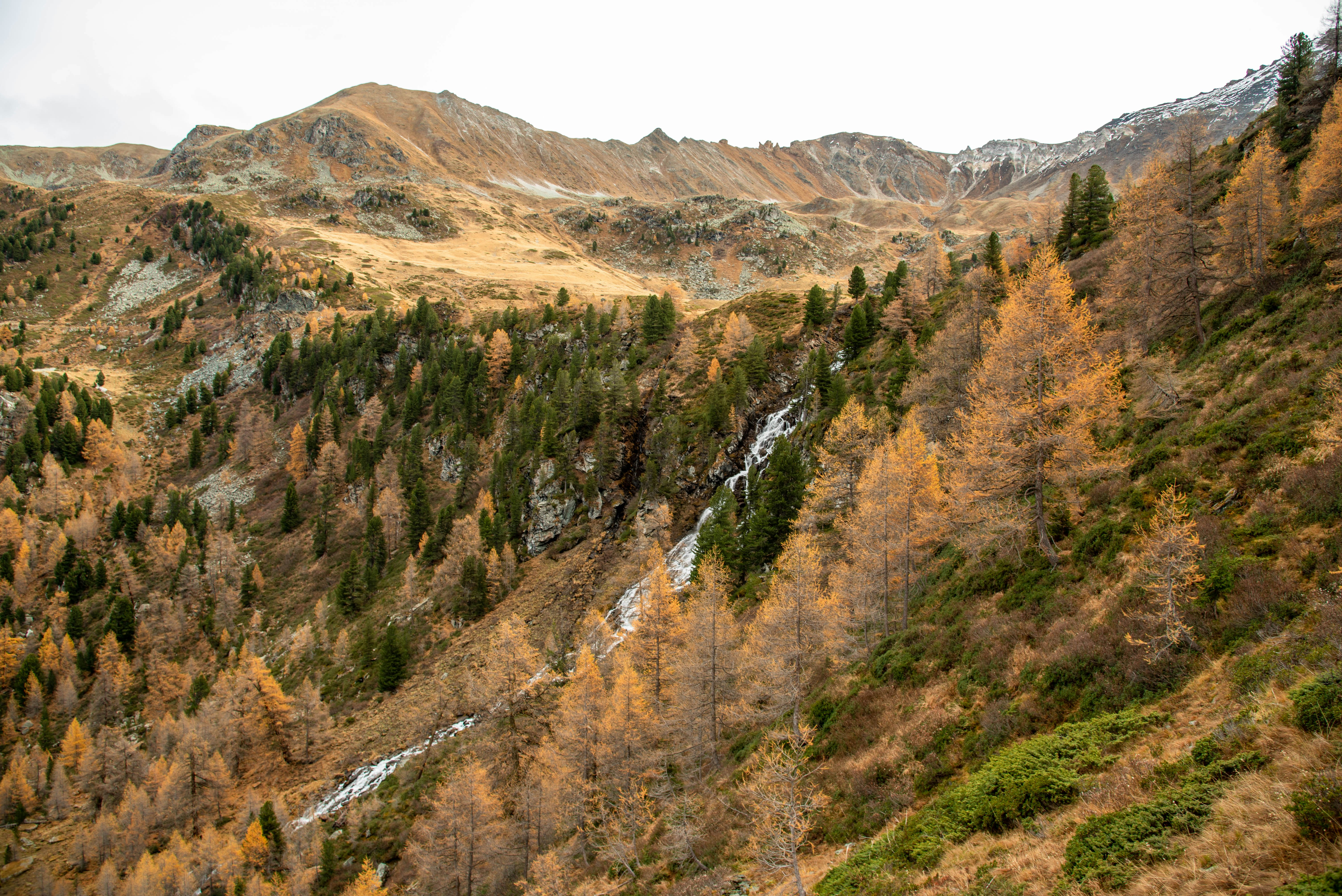 Photo by kasparallenbach