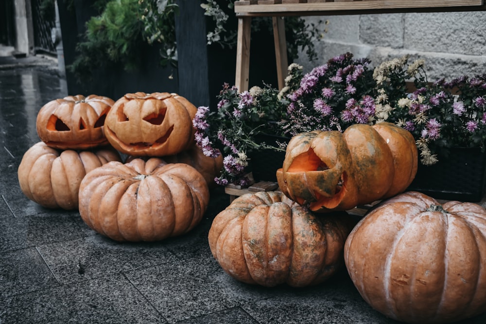 brown pumpkins