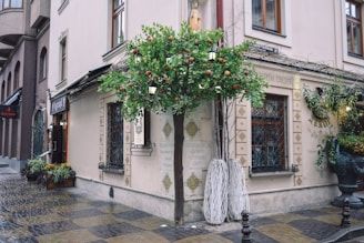 A vibrant street corner showing a freshly renovated building with new storefronts and green landscaping.