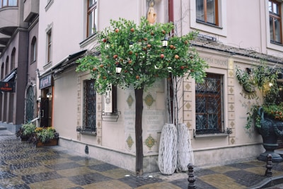 A vibrant street corner showing a freshly renovated building with new storefronts and green landscaping.