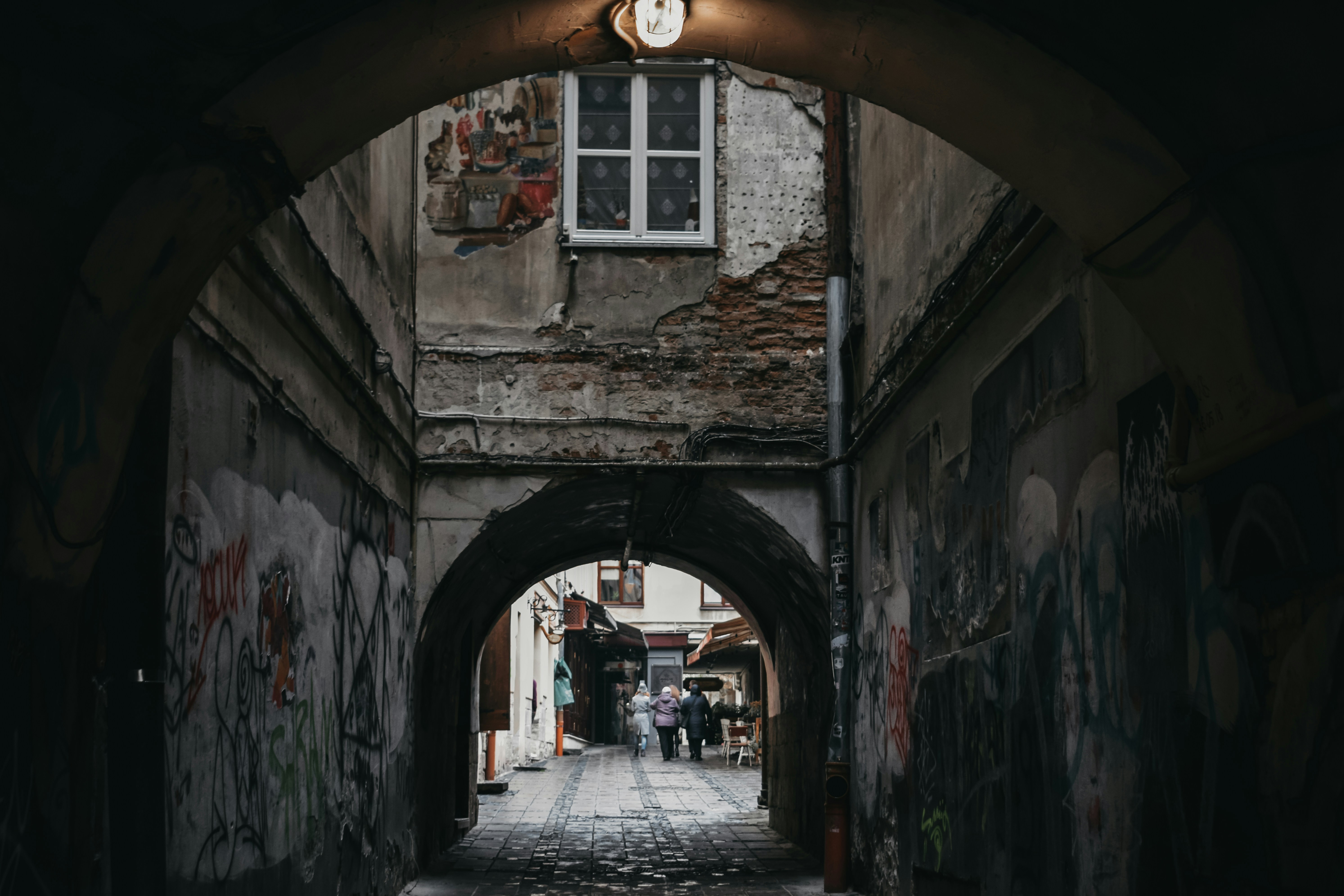 Photo by darya_tryfanava