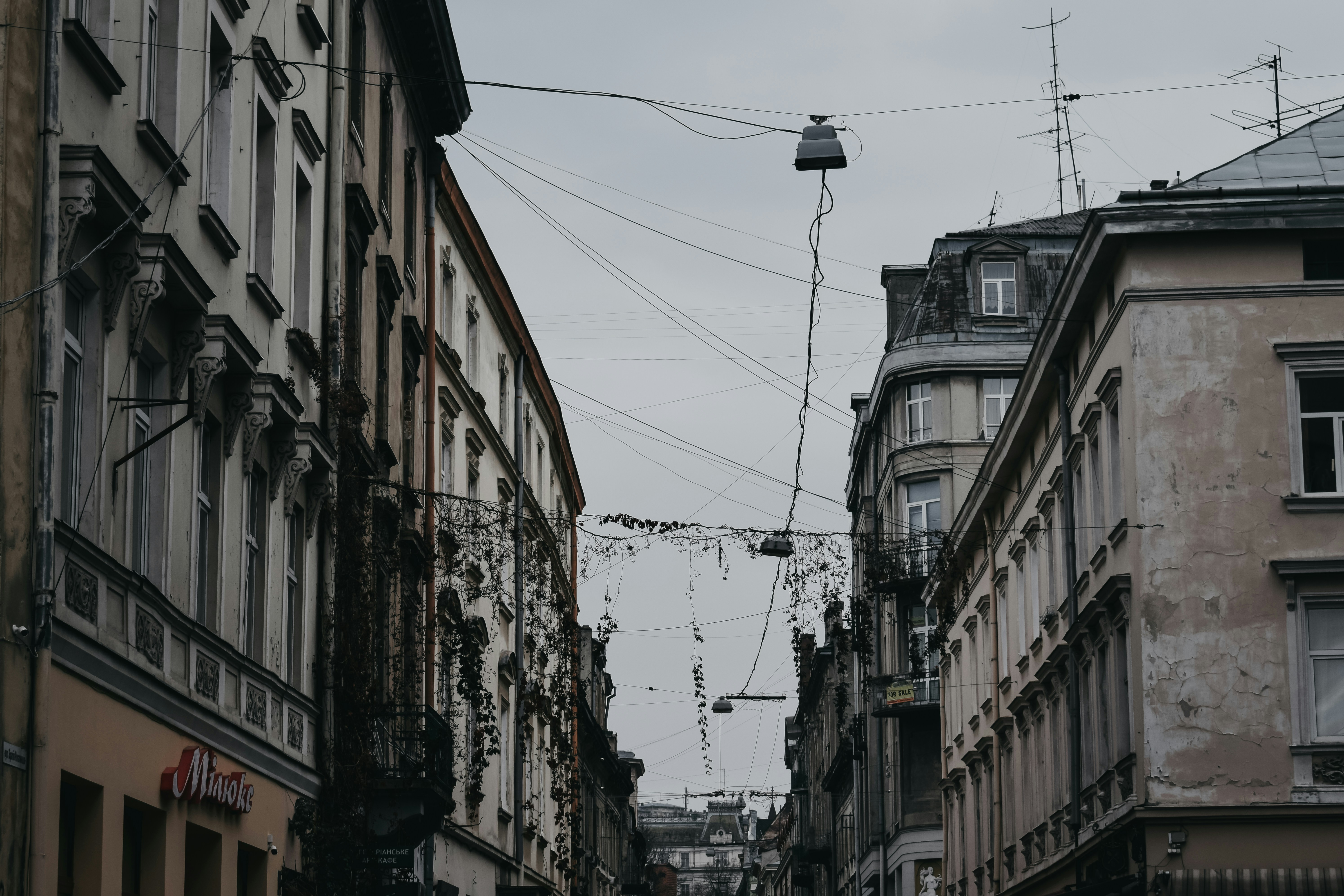 Photo by darya_tryfanava