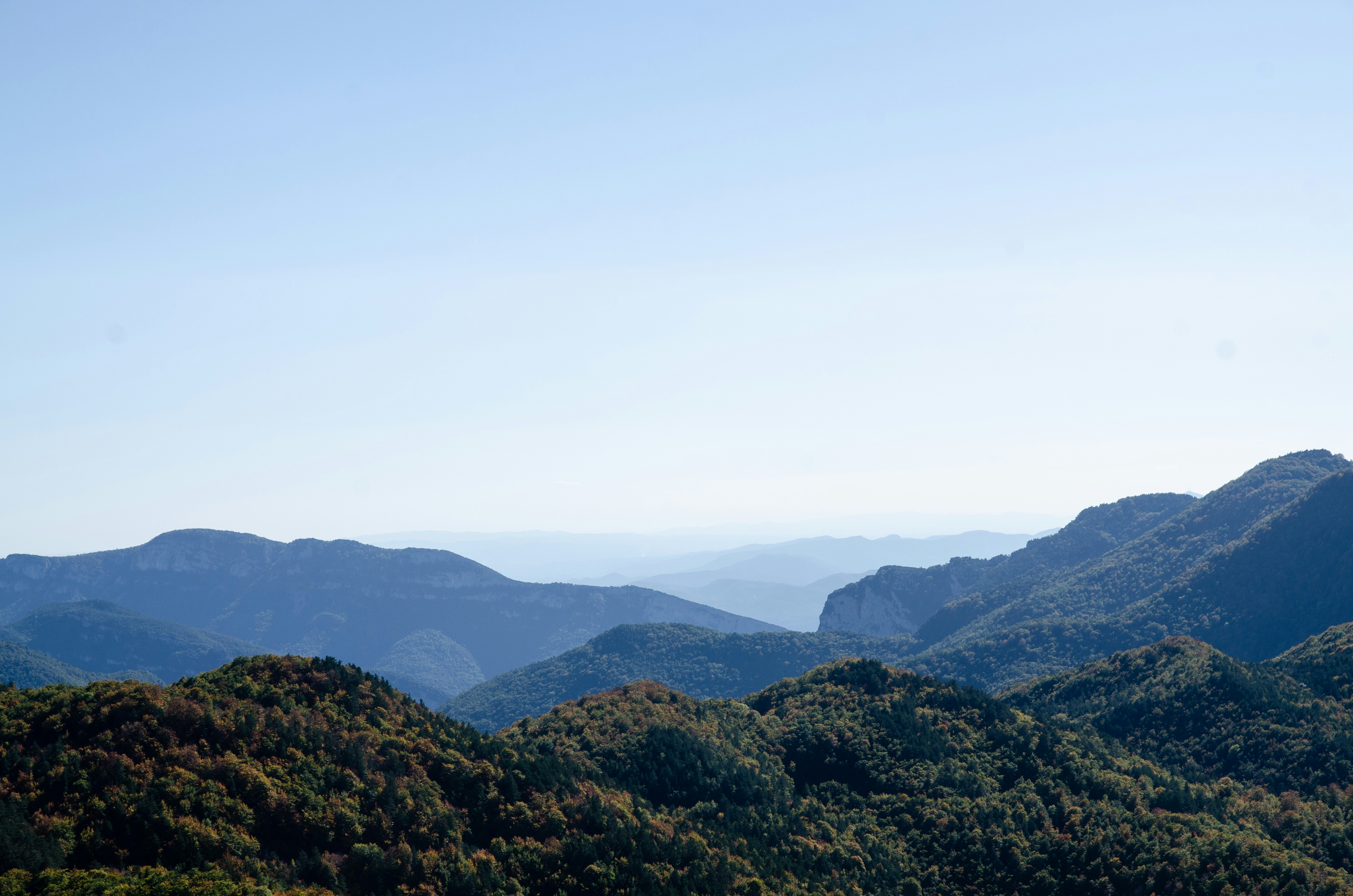 Photo by guillemcotcha