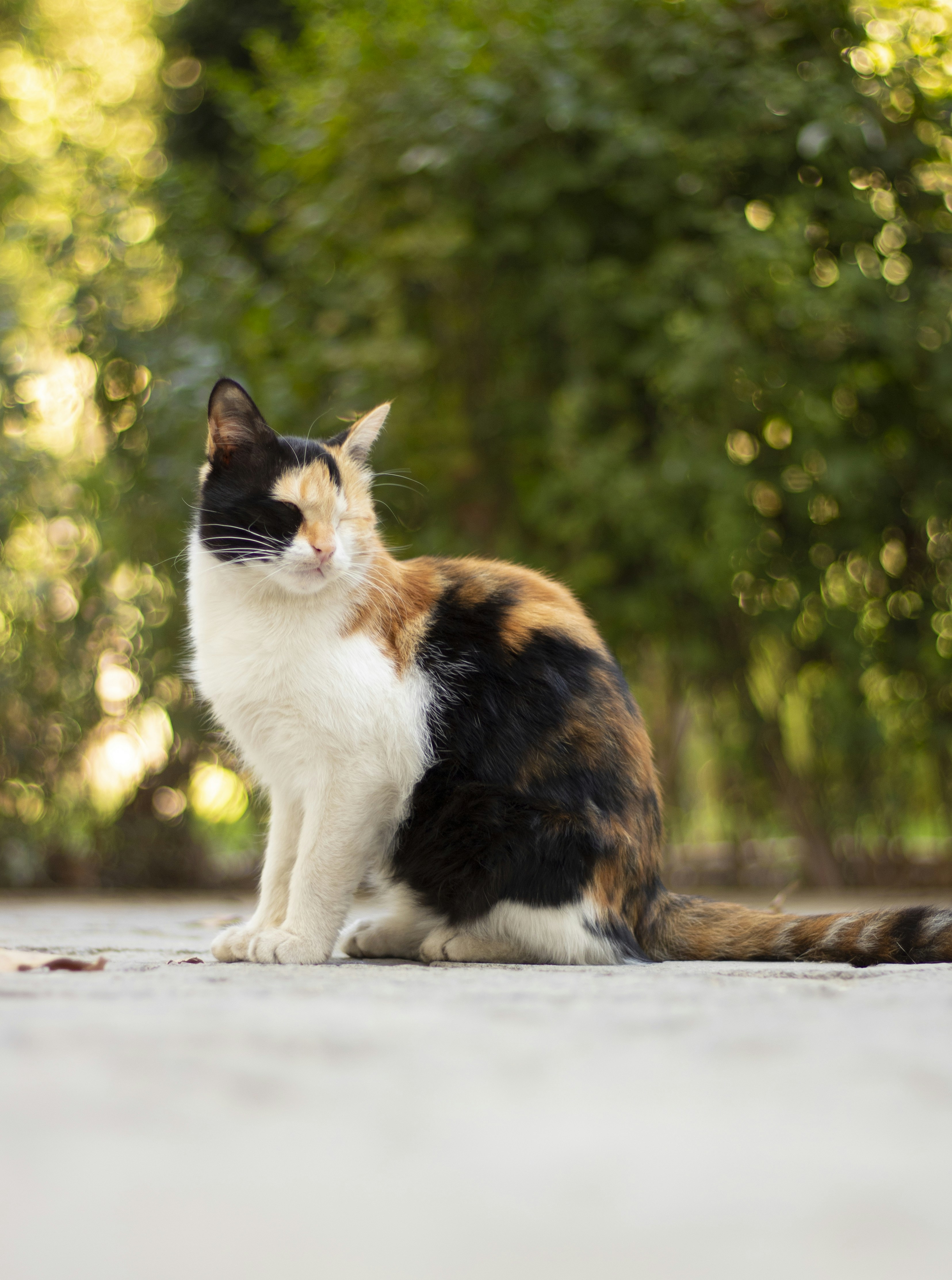 Photo by yasinkuhnavard