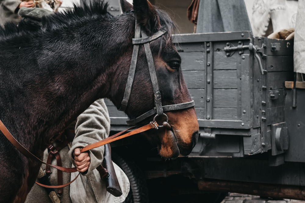 brown horse near gray wooden cart