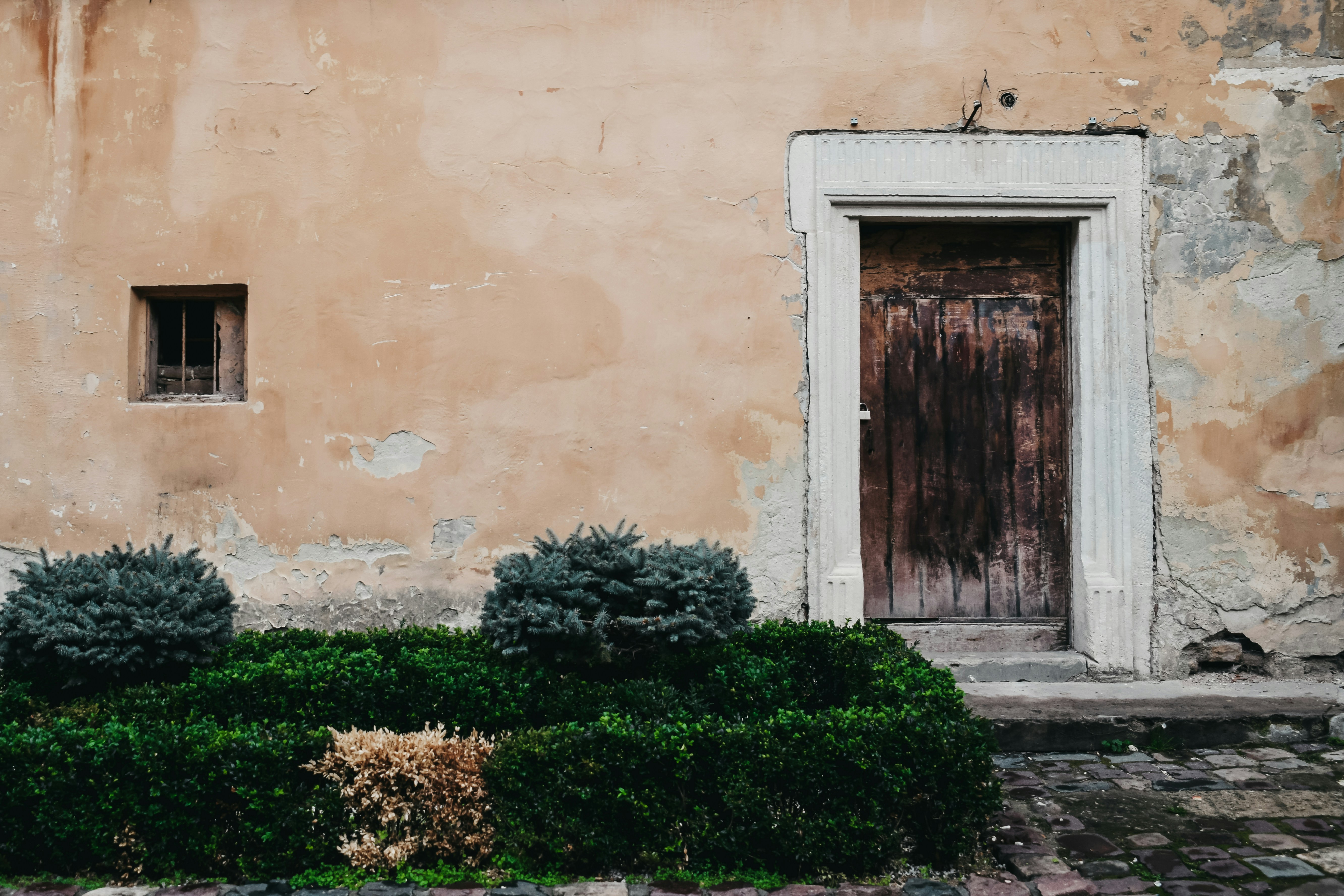 Photo by darya_tryfanava