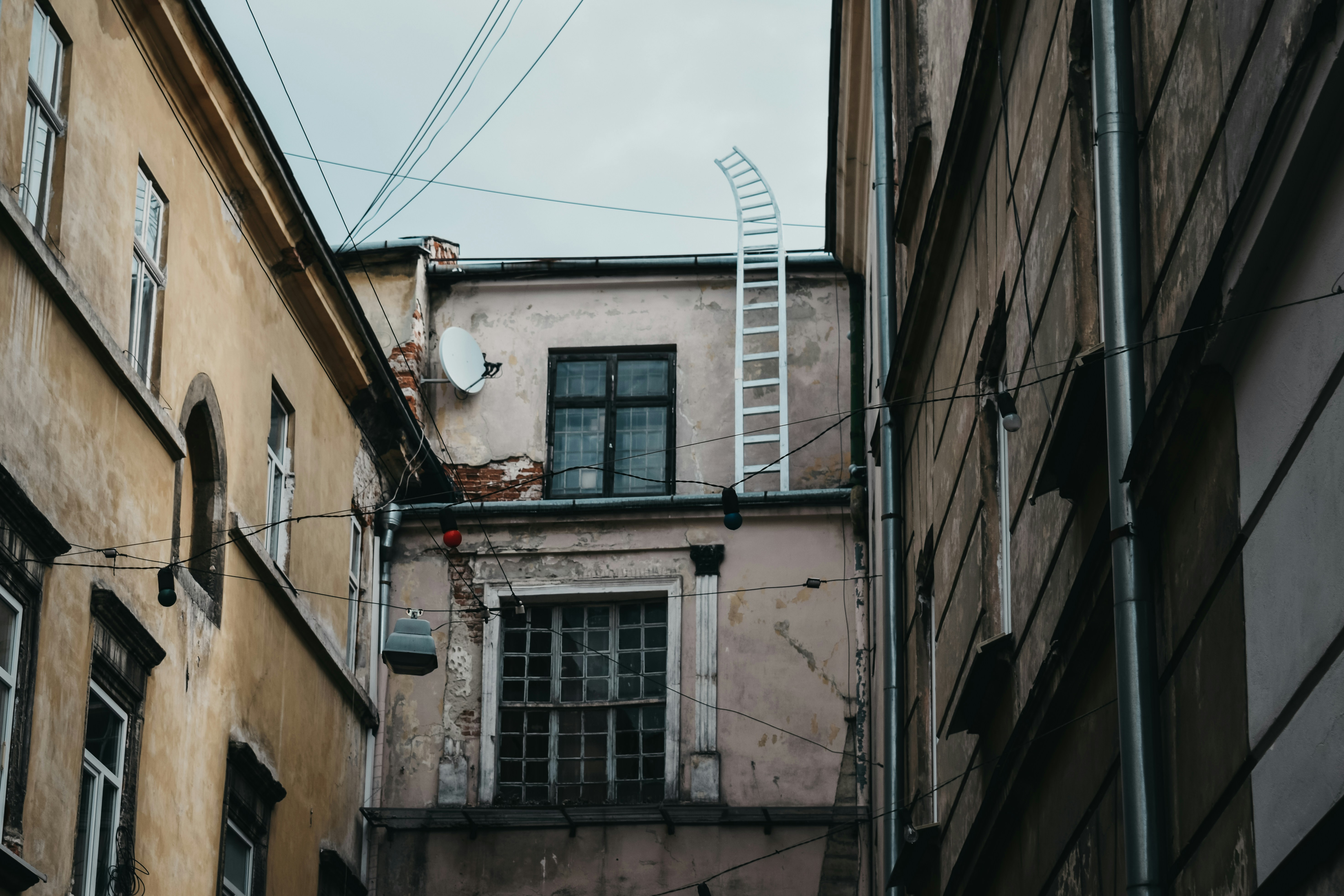 Photo by darya_tryfanava