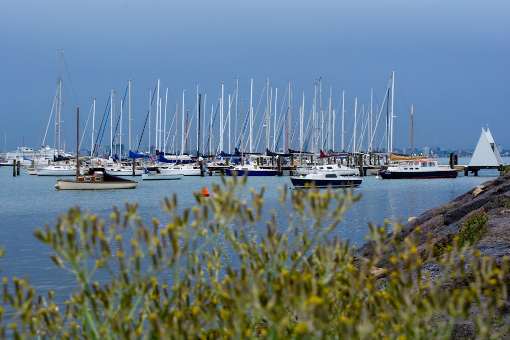 yacht docked on calm body of water