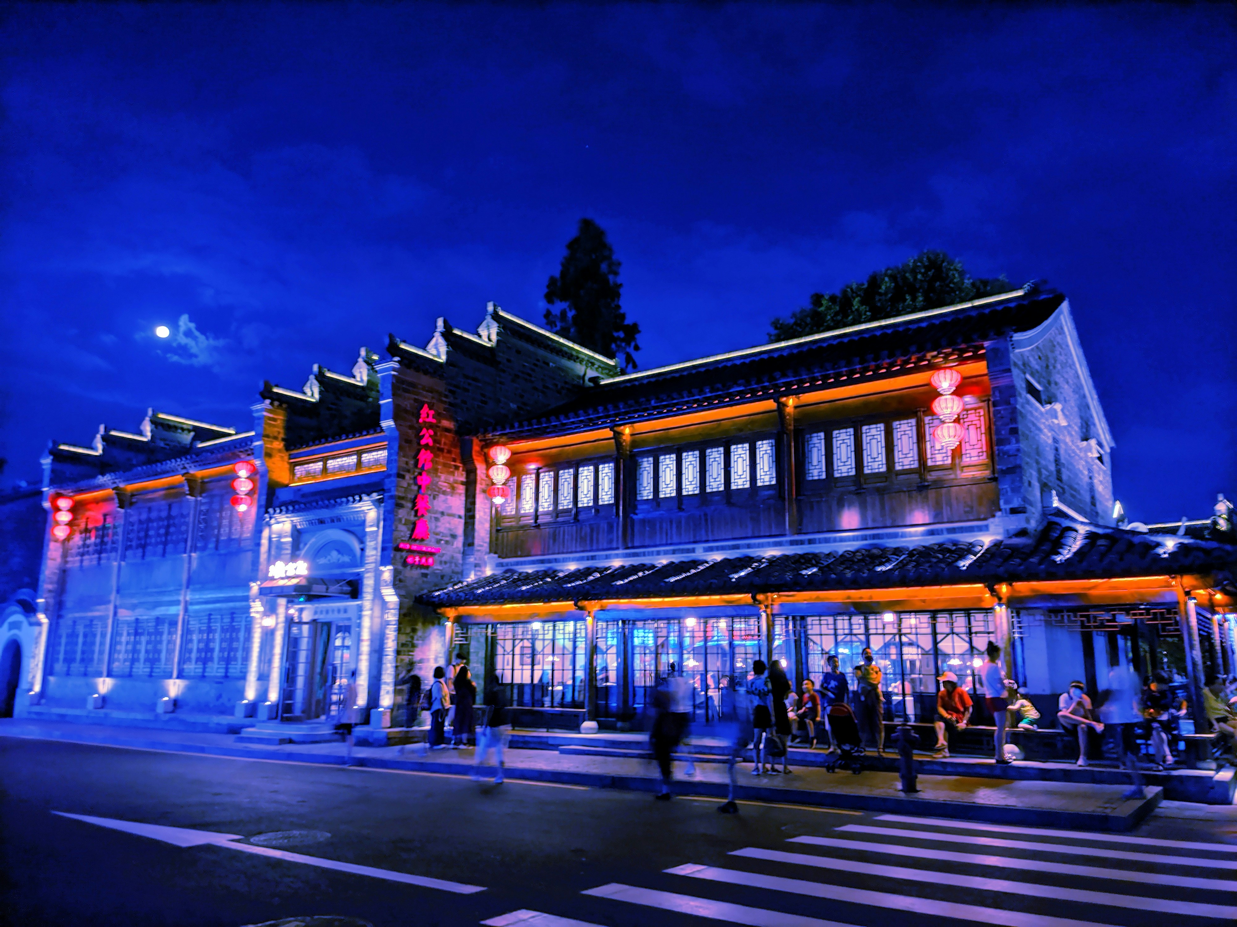 Chihuahuax header image